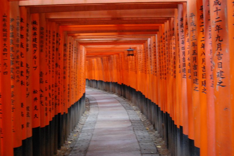 Fushimi Inari Torii6