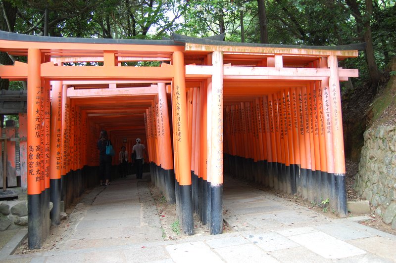 Fushimi Inari Torii10