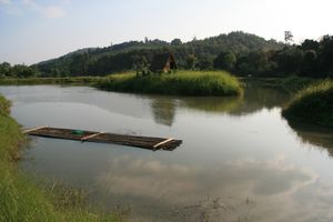 Tranquil Lake