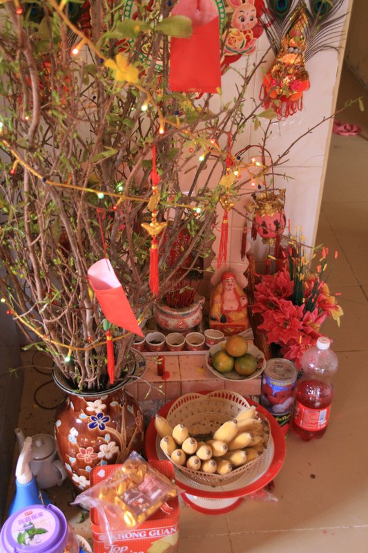 Shrine and Chinese New Year Tree