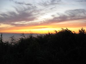 Shaprode - Hiddensee sunset