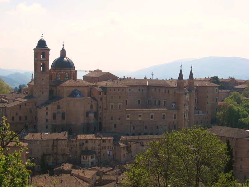 6 Urbino
