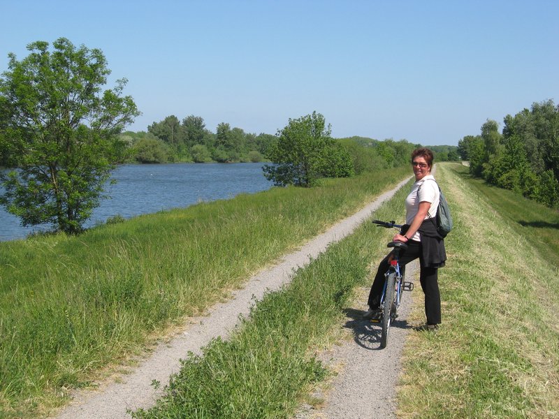 14 Rhine cycle ride