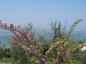 86 Sirmione - Lake Garda