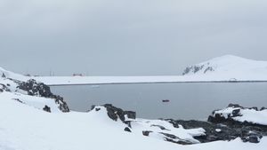 Antarctica Half Moon Island 074