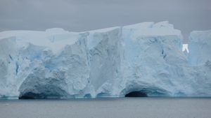 Antarctica Neko Bay 054