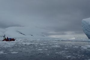 Antarctica Neko Bay 086