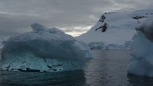 Antarctica Paradise Bay 101