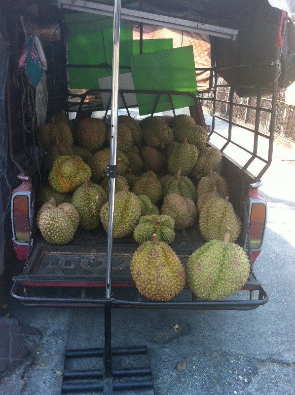 Infamouse Durian