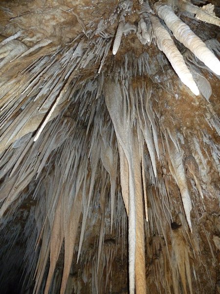 a cave full of a zillion stalactites