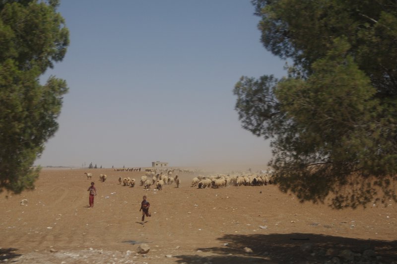 Life on the Steppes