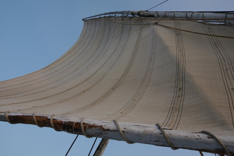 The sail of the felucca