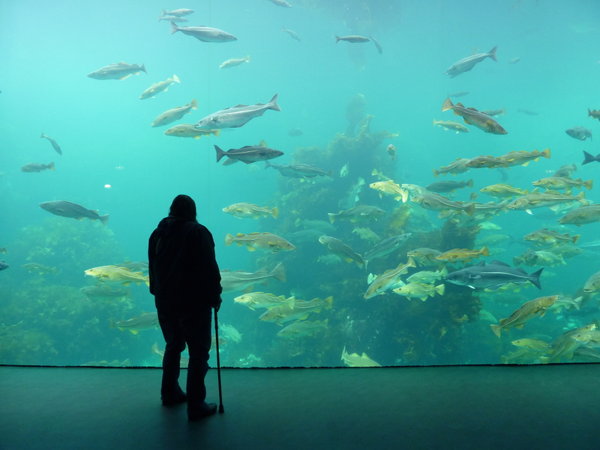 Sea Aquarium at Stavanger