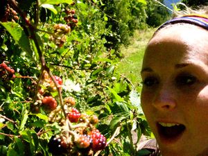 I love berries!!!!!