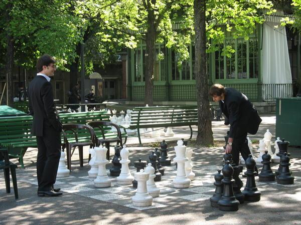 Big Chess Game