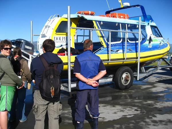 Dolphin swimming boat and crew - Kaikoura