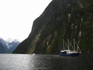 Boat - Milford Sound