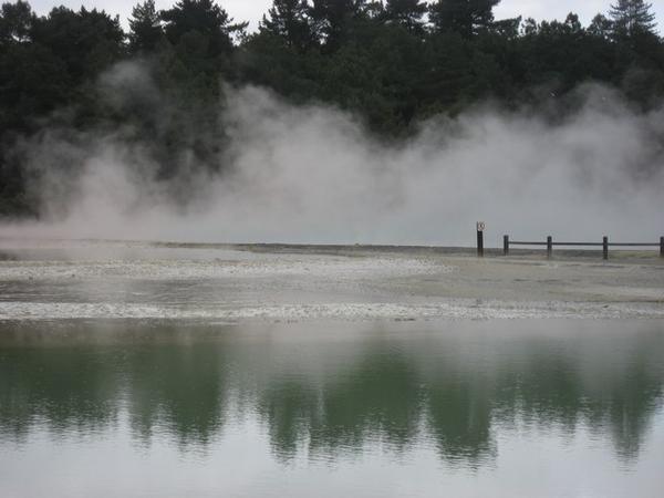Geothermal lake - Wai-O-Tapu Geothermal Wonderland