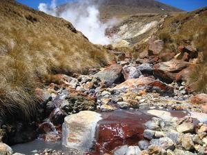 Hot volcanic stream - Tongariro crossing