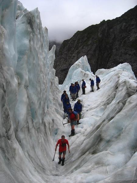 Franz Josef Glacier Trek 