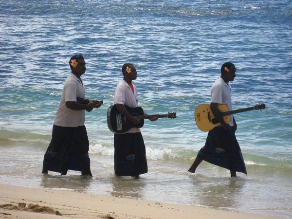Fijian Local Musician's