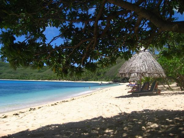 Beach, Octopus, Waya Island