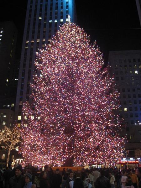 It's the Big Christmas Tree