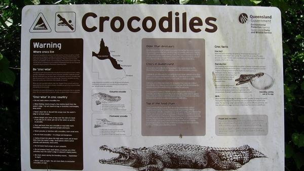 Daintree - crocodile country