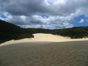Sand dunes, Fraser Island
