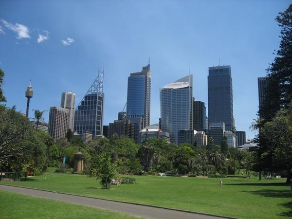 Sydney skyline from the Botanic Gardens