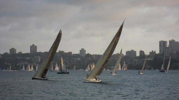 Sailing boats, Sydney Harbour