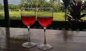 Ubud med rismarker - ro og fred ... og litt lokal rosevin. Annen vin er raadyr i Indonesia.