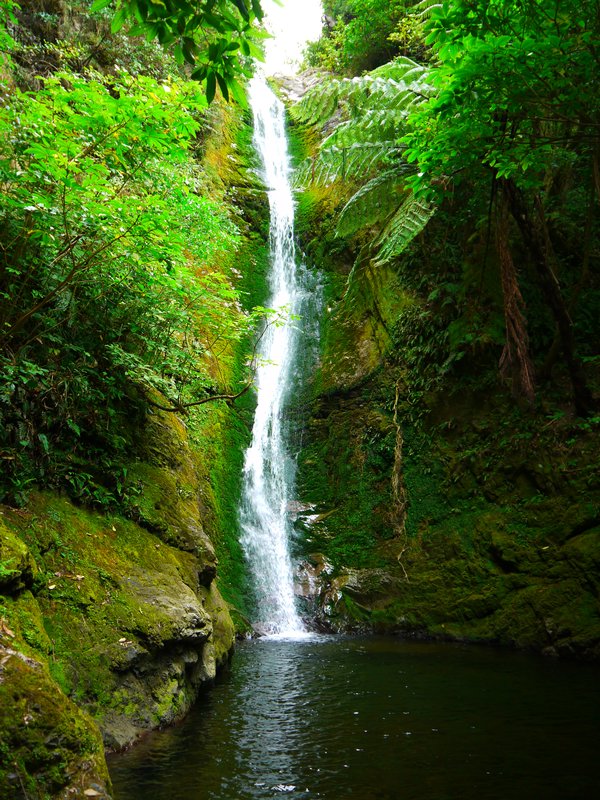 Waterfall near Kaikora