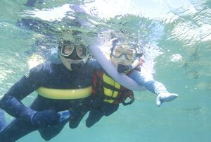 Snorkelling on the Barrier Reef