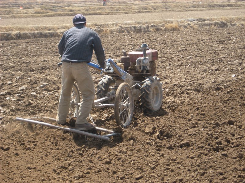 surf - ploughing on a walkin tractor