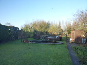 January Garden
