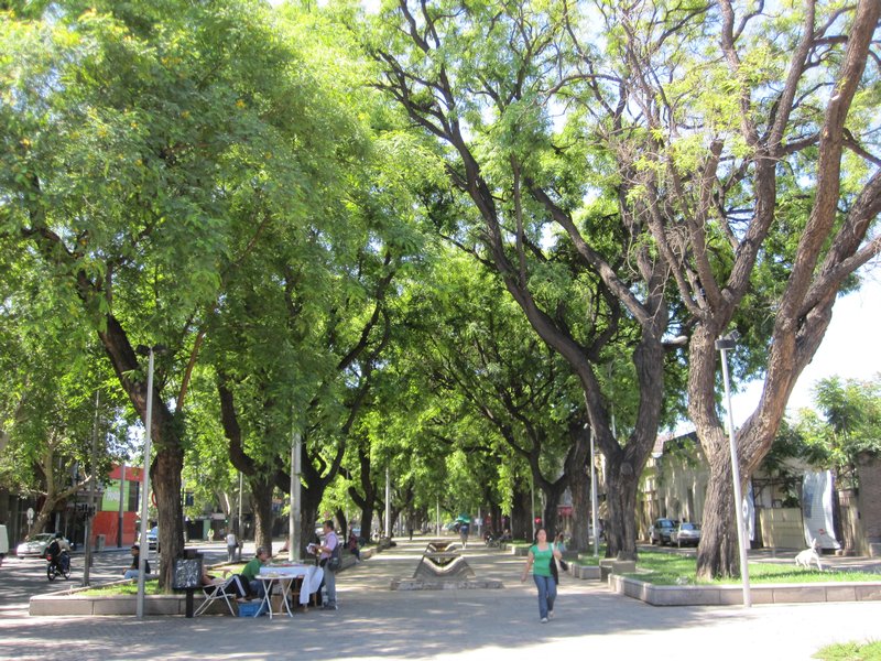 A beautiful street in Mendoza