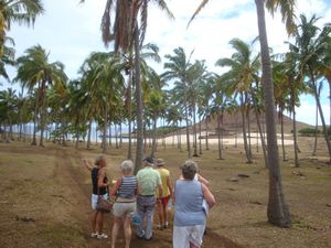 077 ook even naar het strand genzend aan een palmen bos.