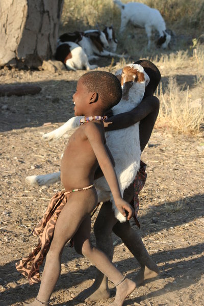 Himba children with goat