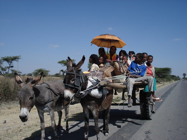 Family with donkey wagon