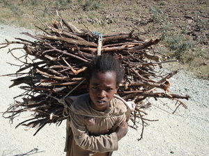 Child carrying wood