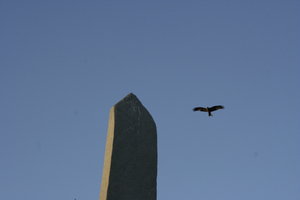 Obelisk and bird of prey