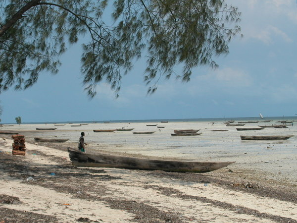 Zanzibar west coast