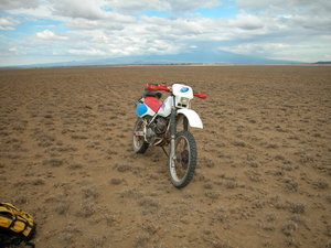 Riding on the plains of Mount Kili