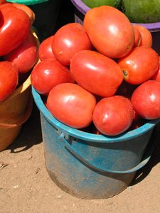 Selling tomato