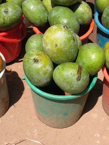 Selling mangos