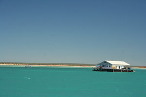 Blue Lagoon Pearl Farm Shark Bay