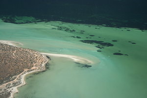 Indian Ocean Shark Bay