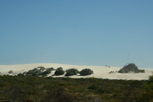 Dunes Cervantes