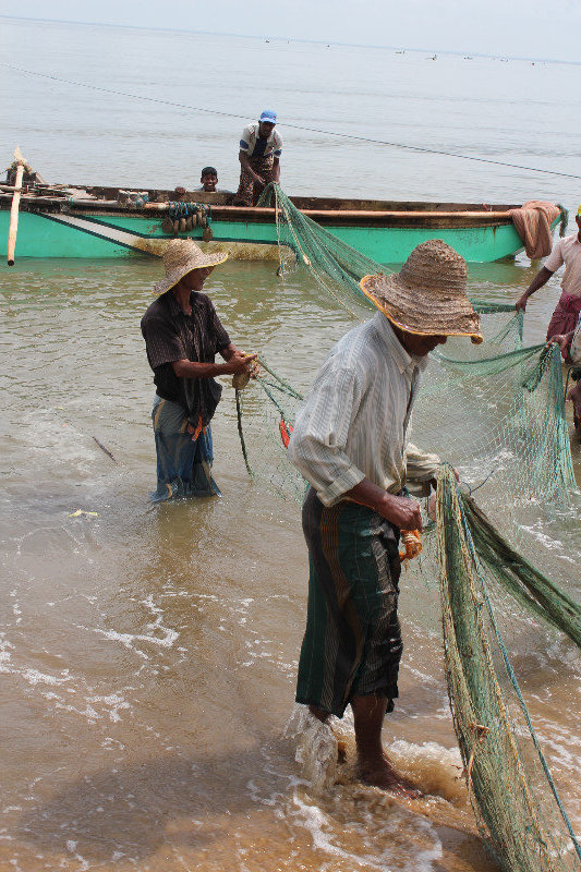 Fisherman taking in their net near Trincomalee